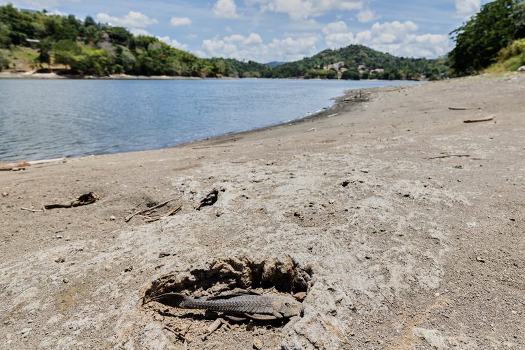 Estados Unidos declara desastre por sequía en 26 municipios de Puerto Rico