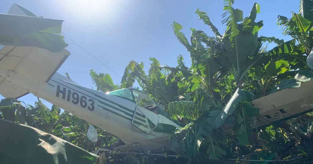 Cae avioneta de fumigación en Montecristi; investigan versión sobre posible choque con un dron