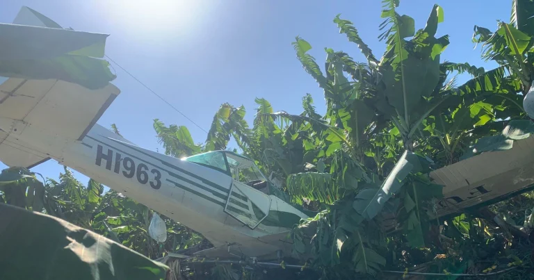 Cae avioneta de fumigación en Montecristi; investigan versión sobre posible choque con un dron